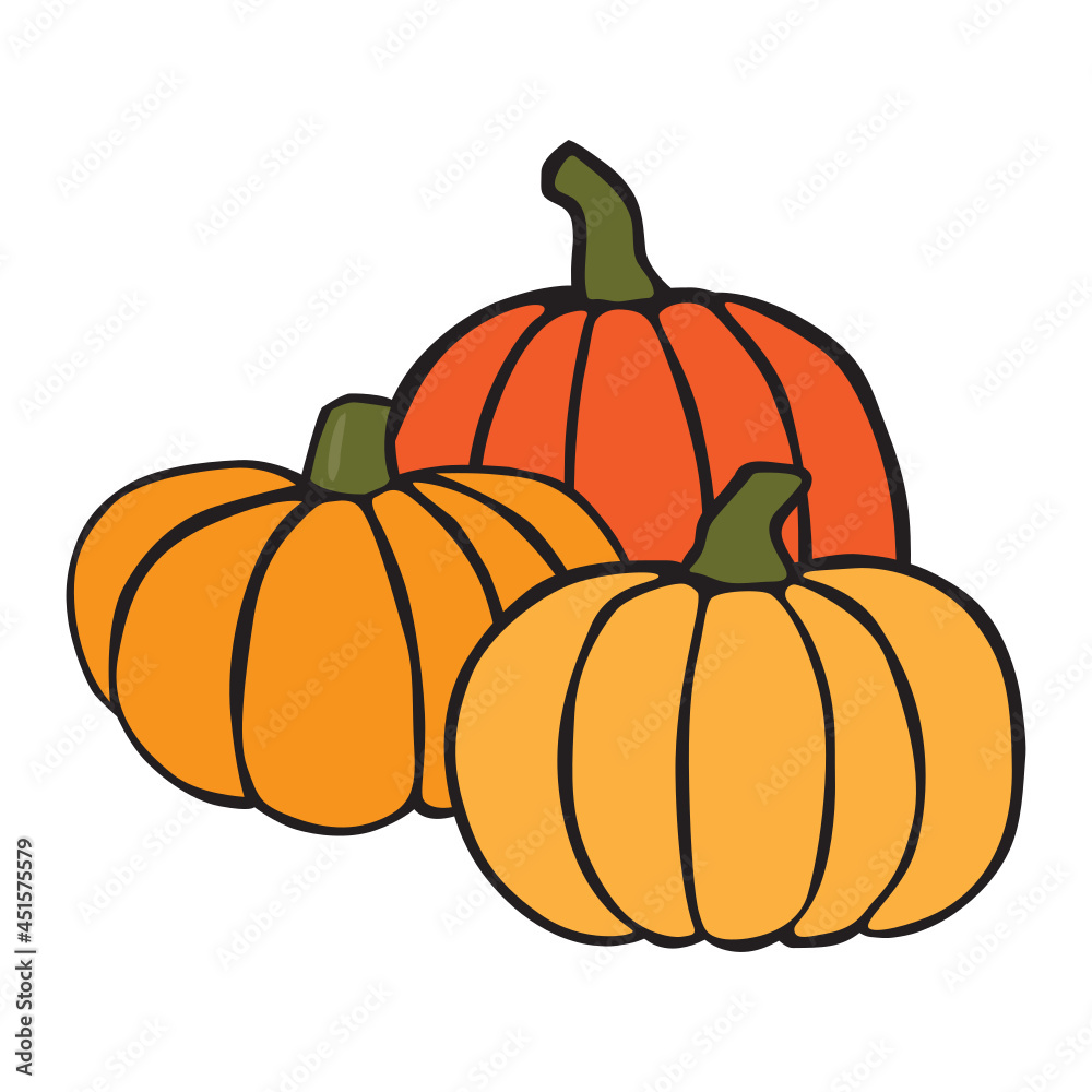 pumpkin isolated on white background pumpkin isolated on white background