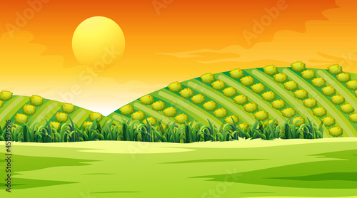 Blank meadow landscape scene at sunset time