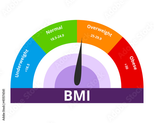 Body Mass Index overweight concept. Colorful BMI Chart vector illustration with white isolated background.