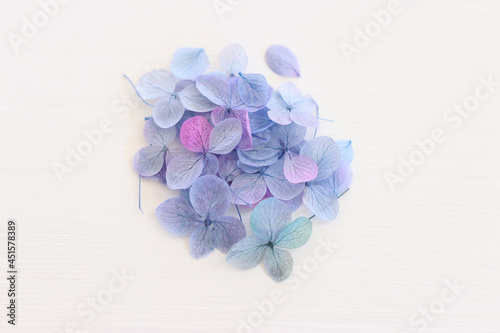 Top view image of Hydrangea flowers composition over white wooden background .Flat lay