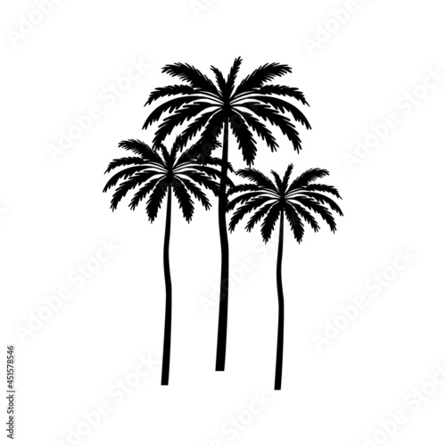 black palm tree vector illustration