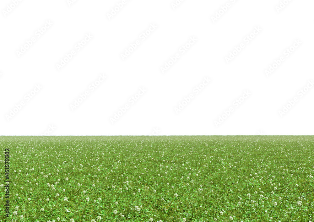 Realistic empty green clover field isolated on white background. Horizontal clean panorama. Bright 3d illustration.