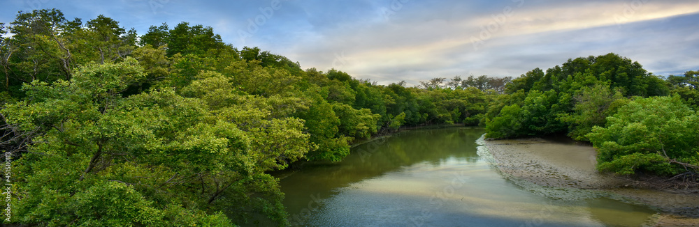 landscape view of green forest for making background landscape view of green forest for making background
