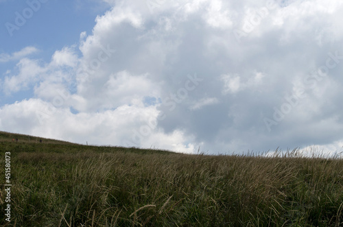 Bieszczady 