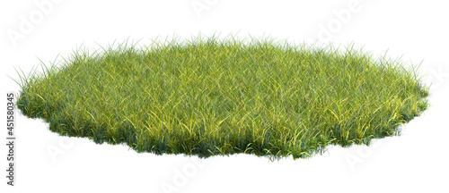 Round surface patch covered with green grass isolated on white background. Realistic natural element for design. Bright 3d illustration.