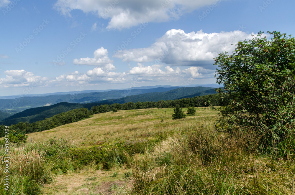 Fototapeta premium Bieszczady połonina Wetlińska 