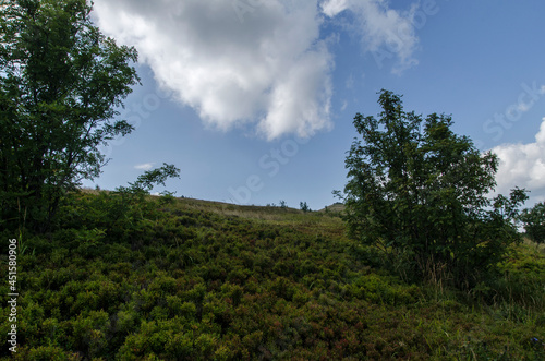 Bieszczady 