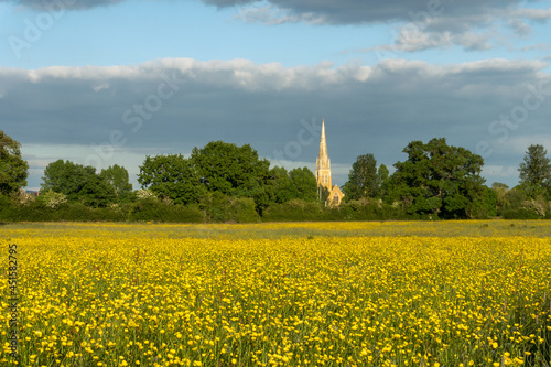A meadow full of yellow Buttercups on a spring evening. With a church spire in the distance. Upton Upon Severn, UK.