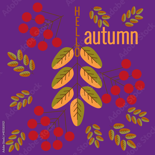 Lettering Hello autumn, fall leaves, berries. Autumn banner for advertising, sales. Vector illustration in orange, green and brown colors, an ultraviolet background.