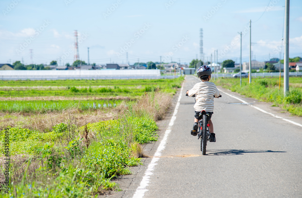 Fototapeta premium 自転車に乗る小学生の男の子
