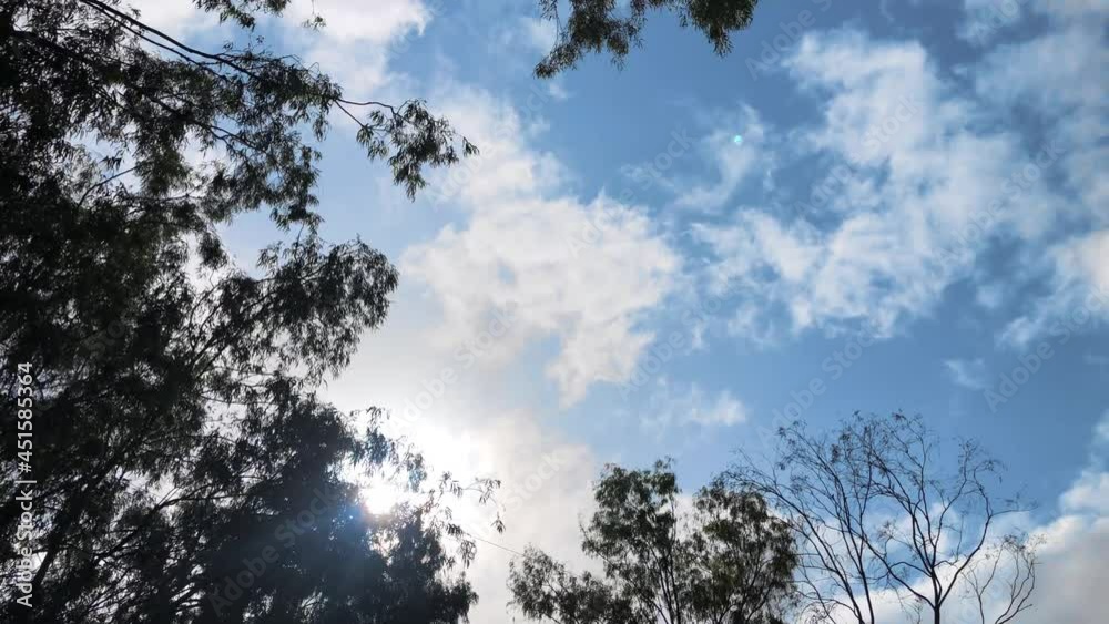 camera looking to the blue sky through the trees. sun hiding behind tree and cloud. clouds moving in real-time. camera looking to the blue sky through the trees. sun hiding behind tree and cloud. clouds moving in real-time.