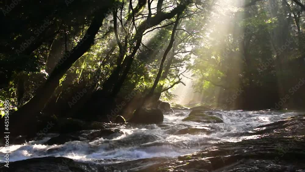 菊池渓谷の光芒