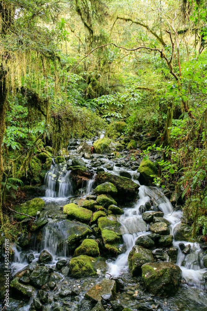 A fresh water spring cascading along moss covered rocks in a stream A fresh water spring cascading along moss covered rocks in a stream