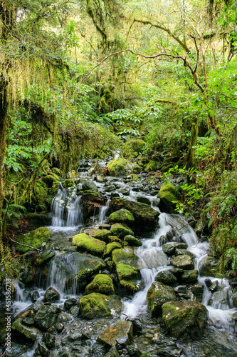 A fresh water spring cascading along moss covered rocks in a stream