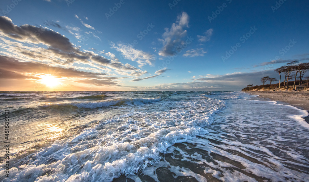 Naklejka premium ostsee