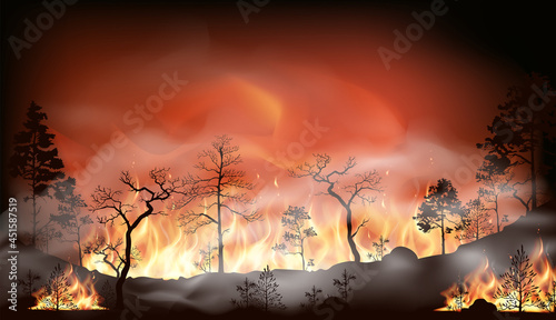 Vector forest fire, pine trees in fire flames. Nature concept illustration background