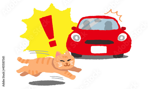 自動車の前に飛び出す猫