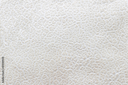 Beautiful texture of white  mushroom.