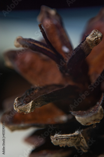 cone, pine, pine cone, macro, autumn, decor, beautiful, beauty, brown, cedar, christmas, closeup, conifer, background, coniferous, decorate, seasonal, decoration, design, eco, evergreen, fir, forest, 