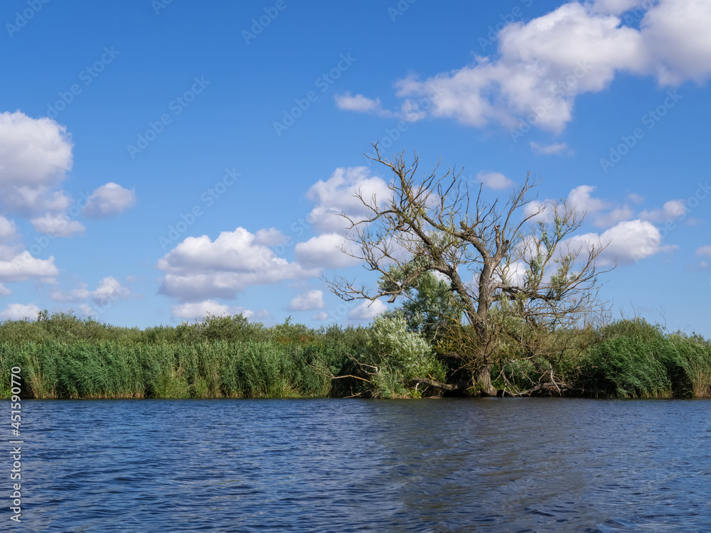 River landscape at the Peene, Mecklenburg Vorpommern, Germany. River landscape at the Peene, Mecklenburg Vorpommern, Germany.