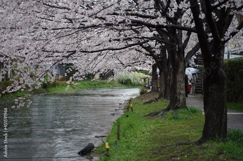 walk in the park