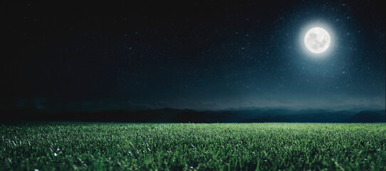 Green field on the background of the night sky.  Elements of this image furnished by NASA