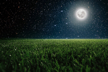 Green field on the background of the night sky.  Elements of this image furnished by NASA