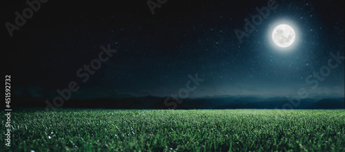 Fototapeta Naklejka Na Ścianę i Meble -  Green field on the background of the night sky.  Elements of this image furnished by NASA
