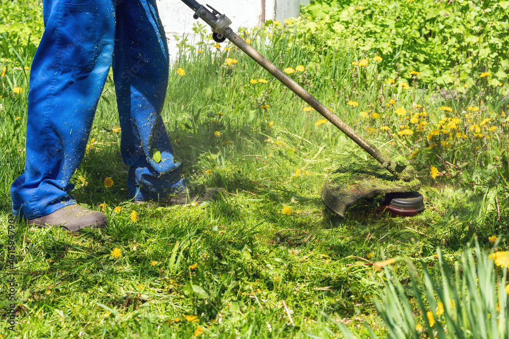 The gardener mows the grass with a trimmer in the garden The gardener mows the grass with a trimmer in the garden