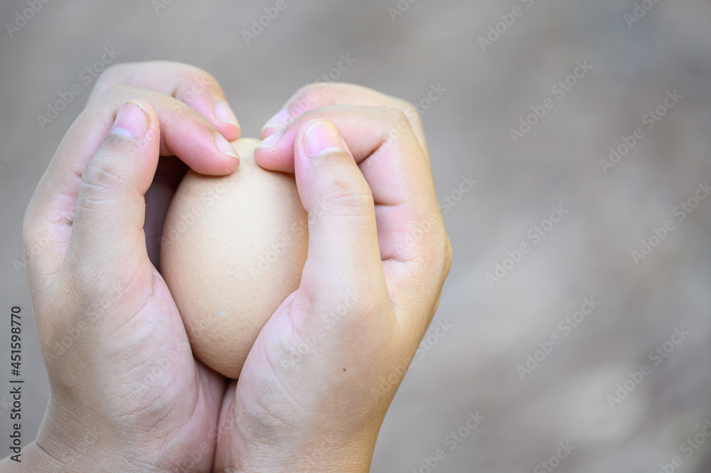 Asia woman's hand holds a pair of chicken eggs in blurred background of farm Asia woman's hand holds a pair of chicken eggs in blurred background of farm
