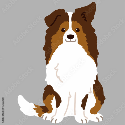 Flat colored simple Shetland Sheepdog sitting in front view