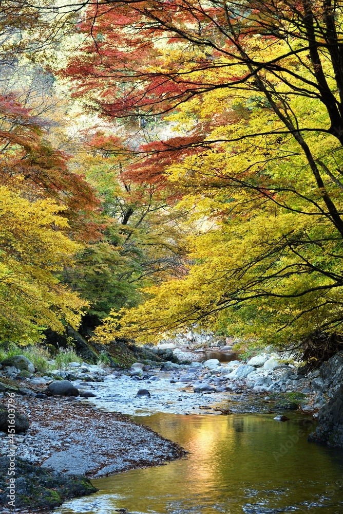 Oashi valley, Kanuma, Tochigi, in autumn Oashi valley, Kanuma, Tochigi, in autumn