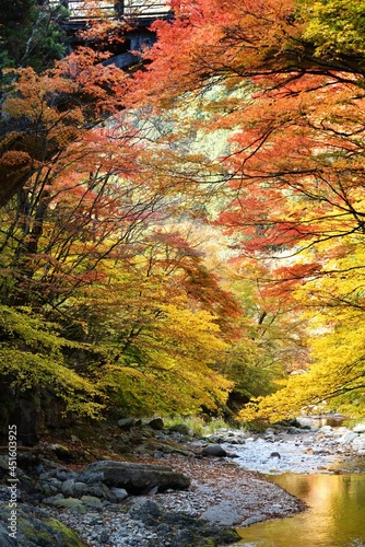 Fototapeta Naklejka Na Ścianę i Meble -  Oashi valley, Kanuma, Tochigi, in autumn