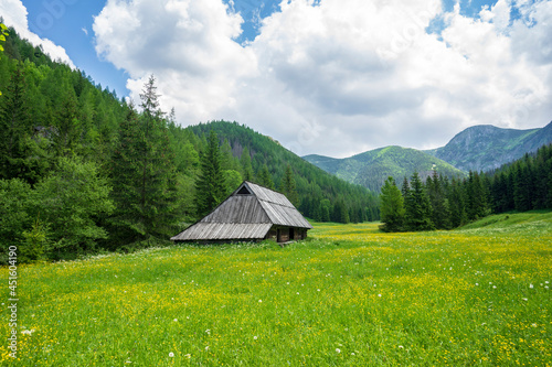 Beautiful summer view of Jaworzynka Valley. Tatra Mountains.