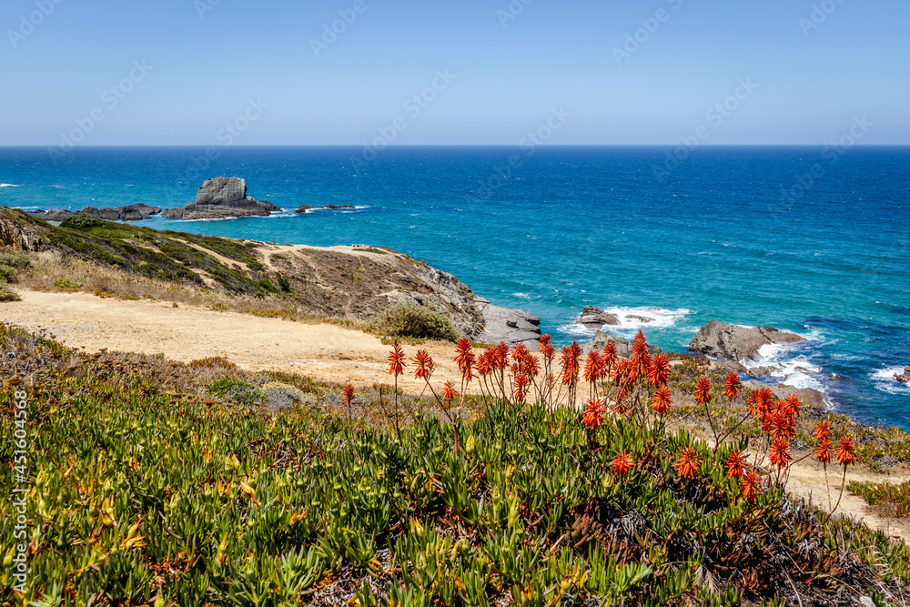 Beautiful landscape and seascape in Vicentina Coast Natural Park, Alentejo, Portugal