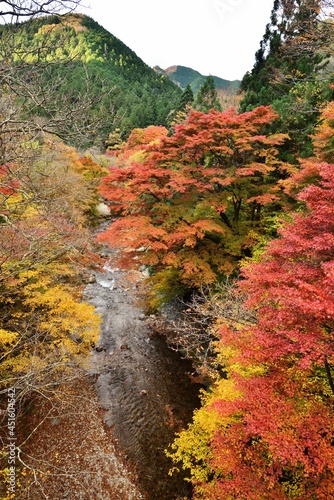 Oashi valley, Kanuma, Tochigi, in autumn photo