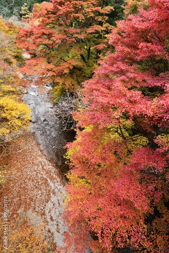 Oashi valley, Kanuma, Tochigi, in autumn photo