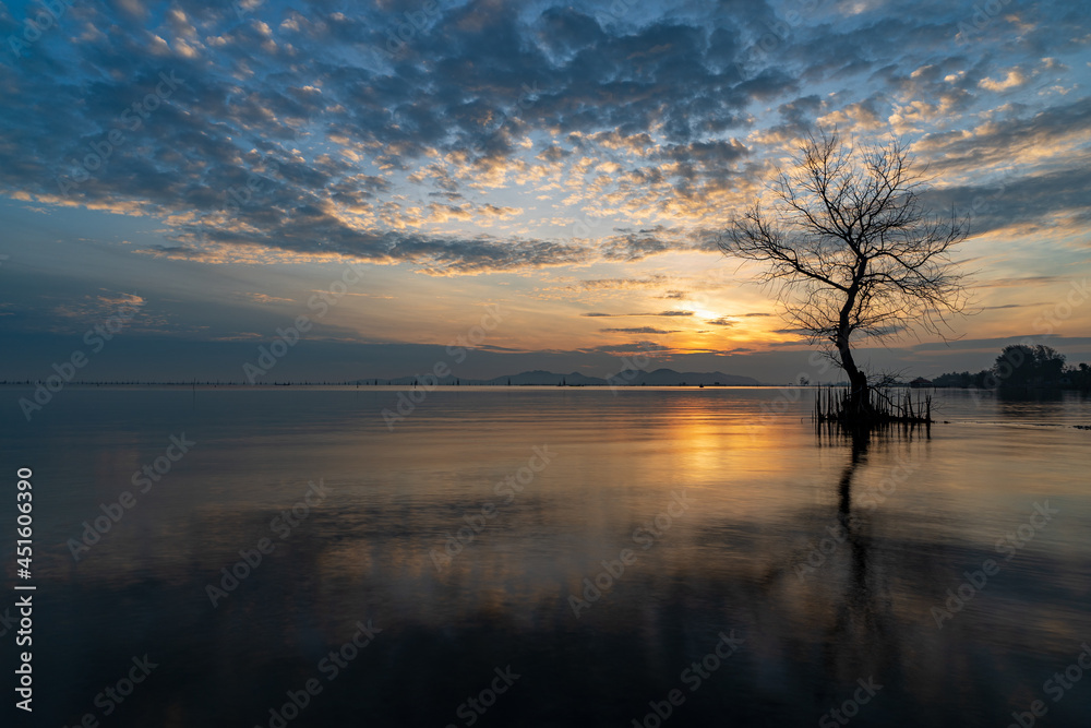 A dead tree on the beach at sunrise time.