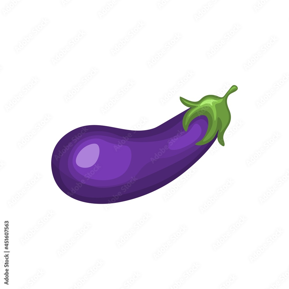 one eggplant isolated on white background. vector illustration. Healthy food and vitamin. Vegetarian food. one eggplant isolated on white background. vector illustration. Healthy food and vitamin. Vegetarian food.