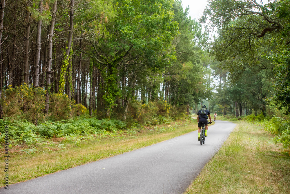 cyclist on the bike path through the forest