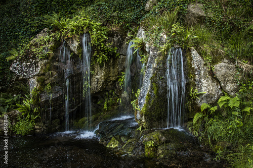 Wasserf  lle im Gr  nen Natur Stimmungsvoll Felsen Wasser Cascada