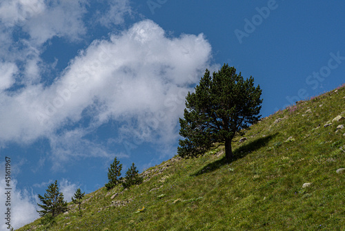 tree slope mountain sky clouds