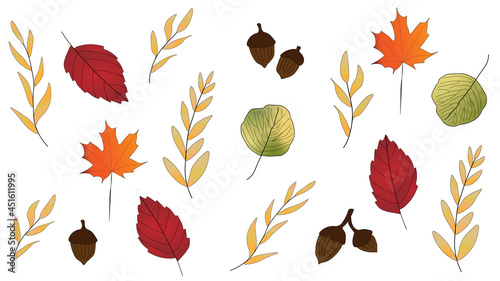 Bright, colorful autumn leaves and acorns background with yellow, orange, red and green leaves. Fall, seasonal.