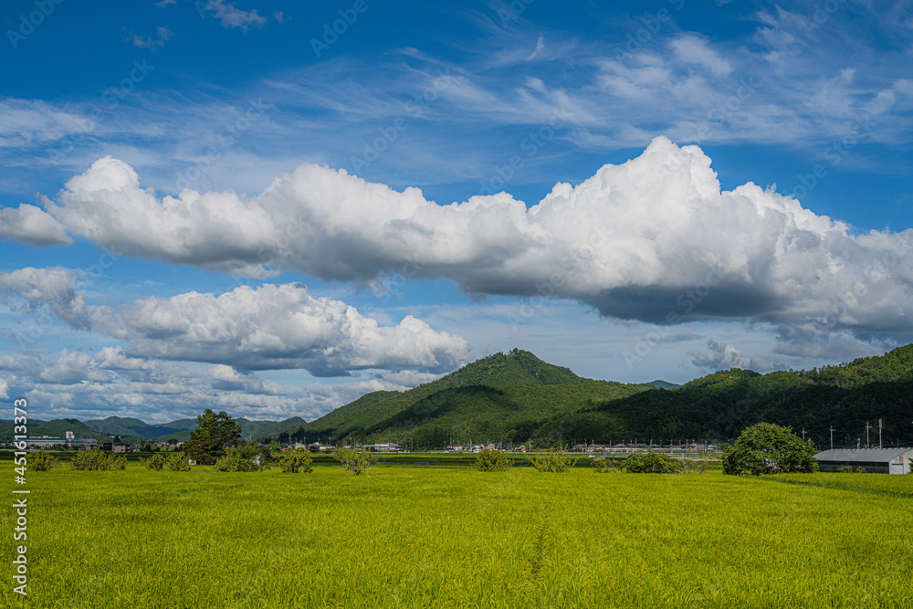 Obraz premium 夏の空 