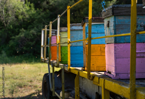 colorful beehives and flying bees