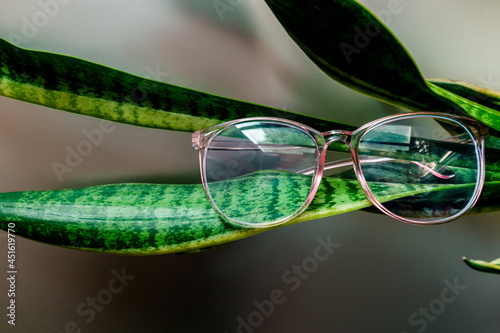 Women's fashion computer glasses with green frames. Tropical background with green leaves.