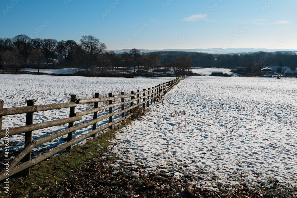 landscape with fence in early winter  