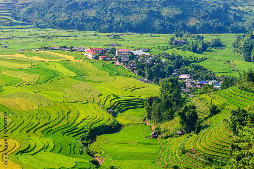 Rice fields on terraced beautiful shape of TU LE Valley, view on the road between Nghia Lo and Mu Cang Chai, Yen Bai province, Vietnam.