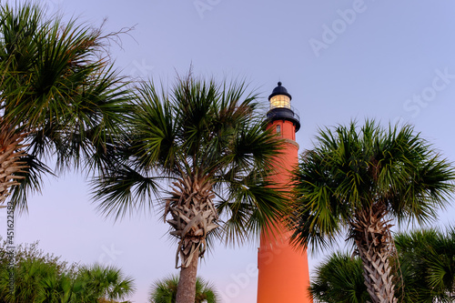 Floridian Palm trees line the walkway at the Ponce Inlet Lighthouse at Sunrise photo