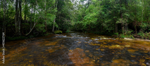 Fototapeta Naklejka Na Ścianę i Meble -  Panoramic beautiful deep forest stream in Thailand